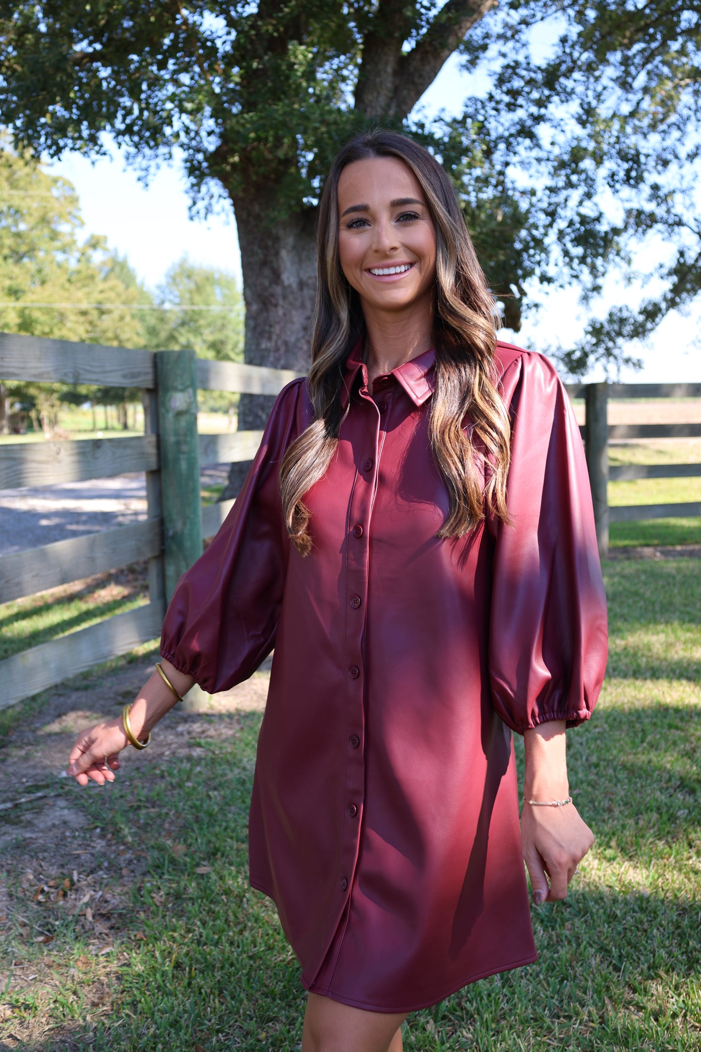 Krista Dress(burgandy)