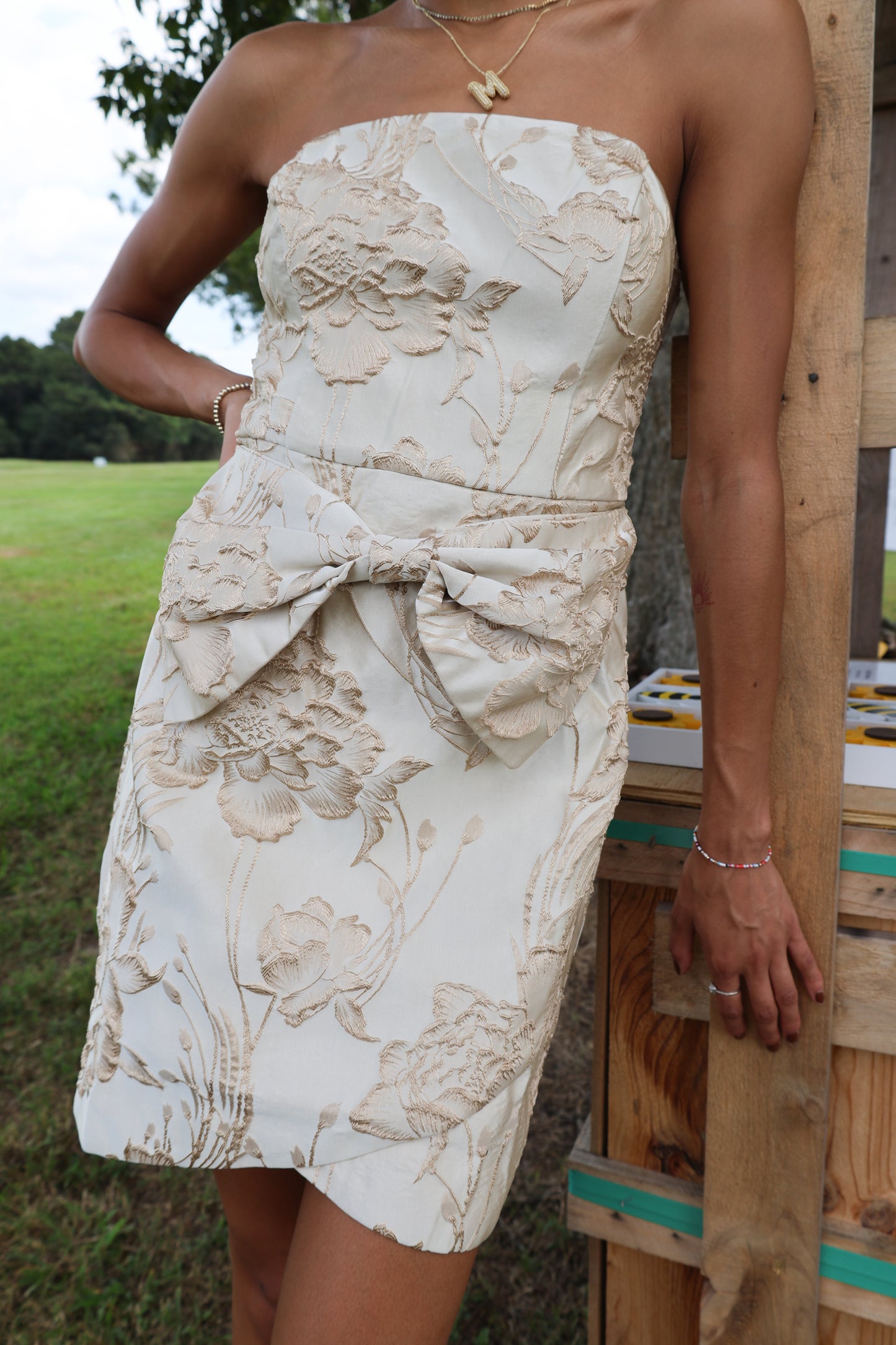 Chantell Dress