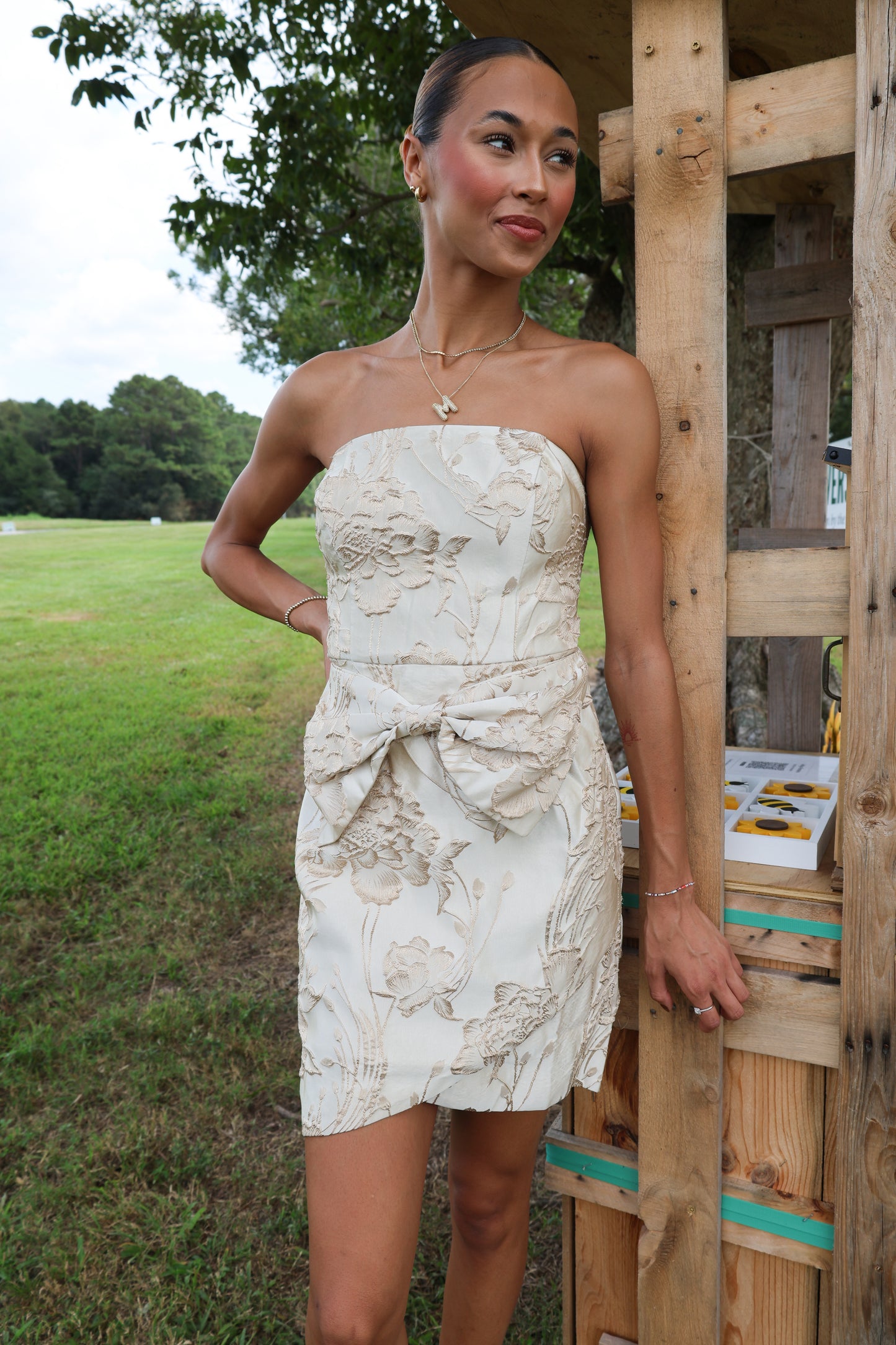 Chantell Dress