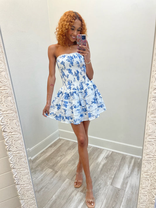 Alani Mini(blue)