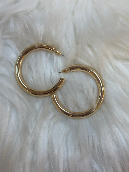 Holly Hoops