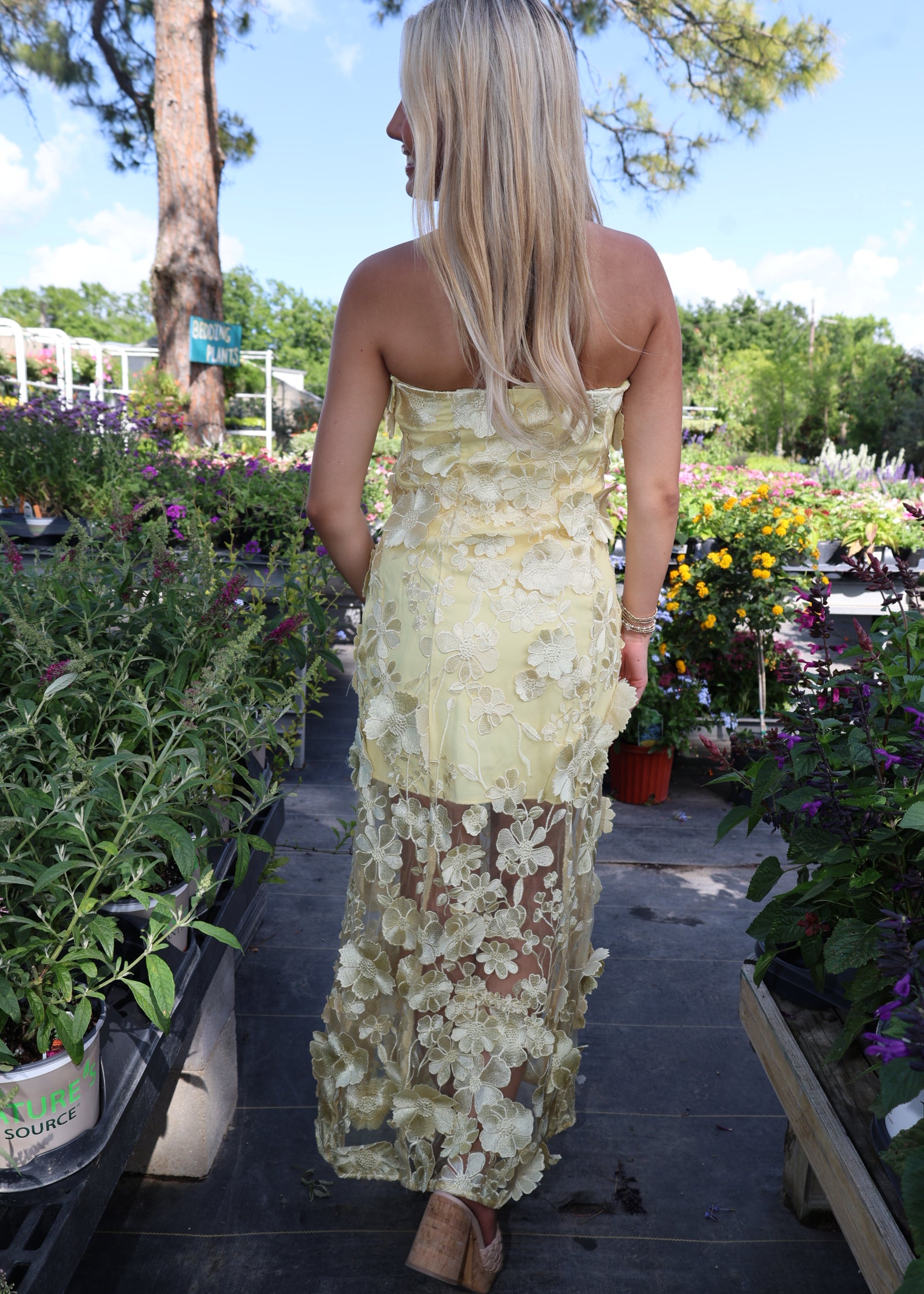 Orchird Dress