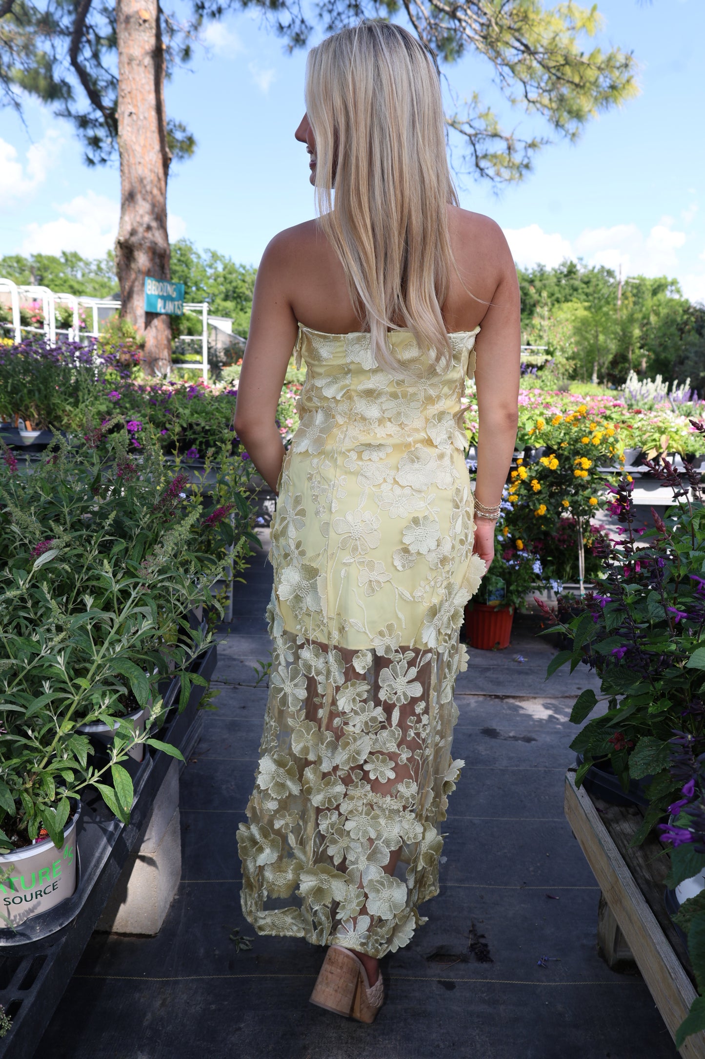 Orchird Dress
