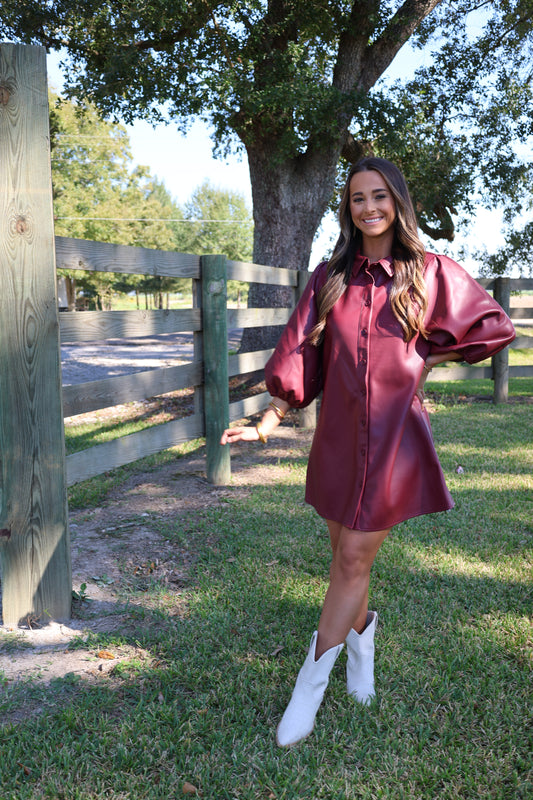 Krista Dress(burgandy)