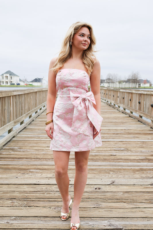 Mae Mini Dress(pink)