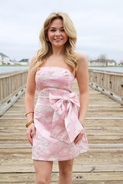 Mae Mini Dress(pink)
