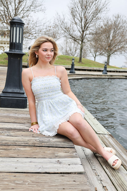 Scottlyn Dress(blue)